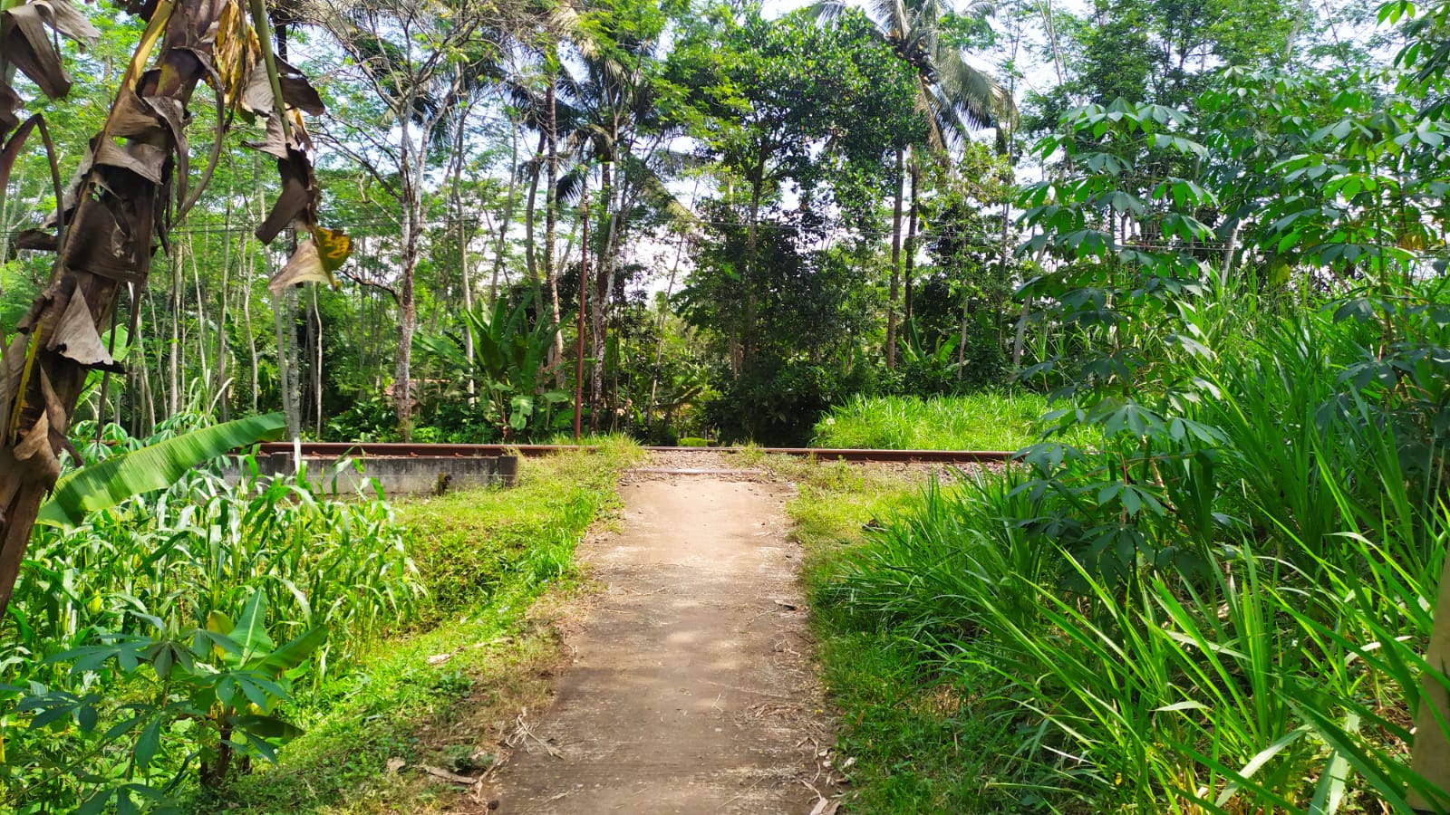 Foto Palang Pintu