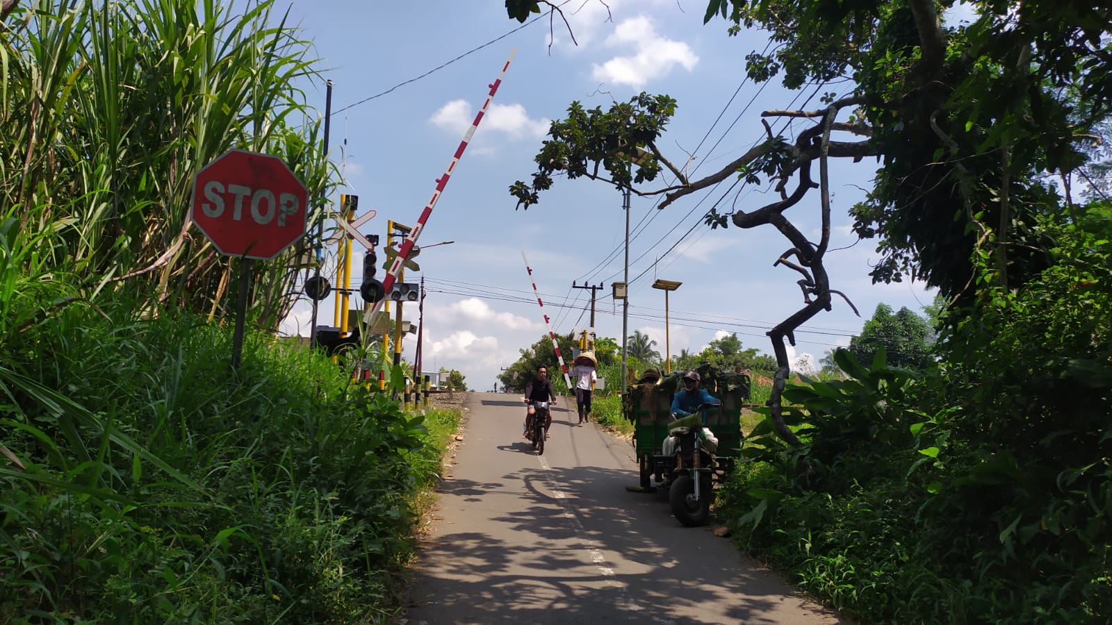 Foto Rambu Larangan Stop